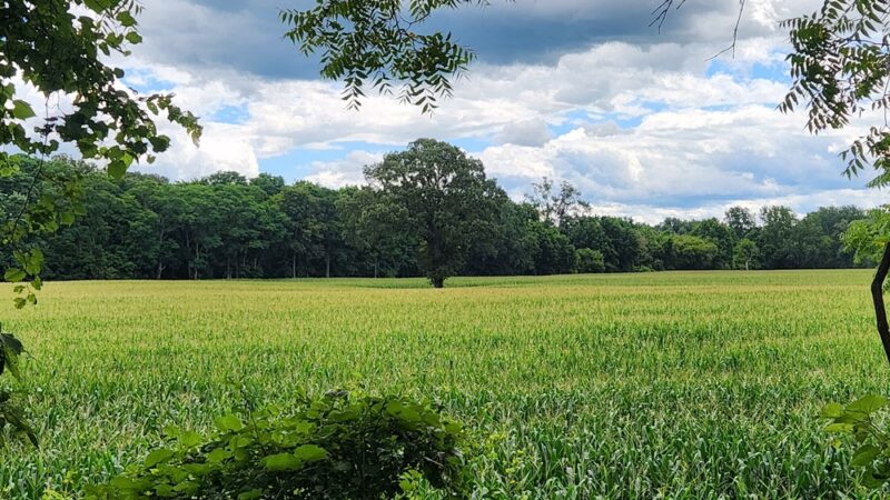 Canawaugus Park - Scottsville, NY