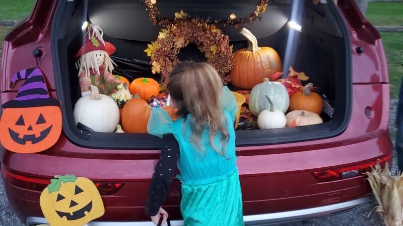 Johnson Park - Scottsville, NY