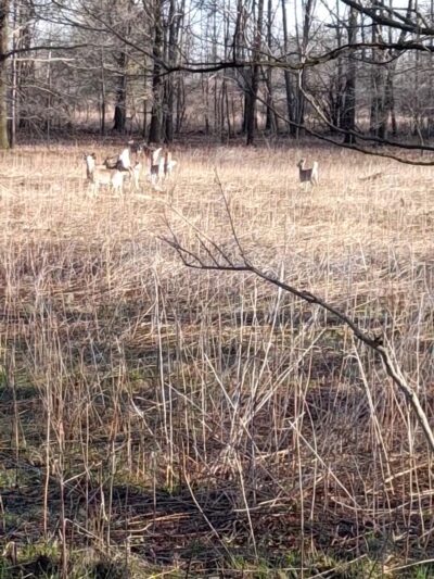 Oatka Creek Park - Scottsville, NY