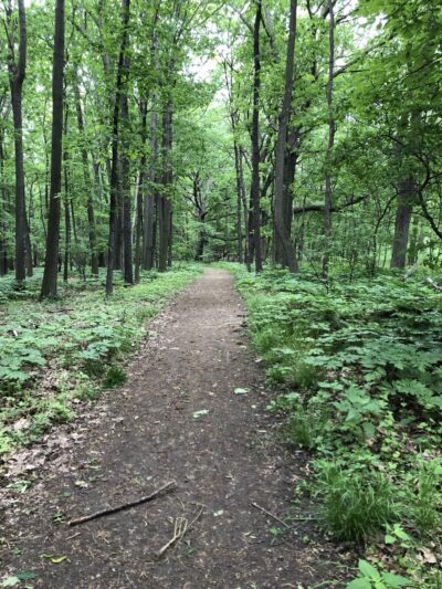 Oatka Creek Park - Scottsville, NY