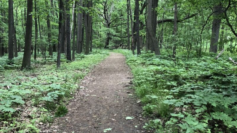 Oatka Creek Park - Scottsville, NY