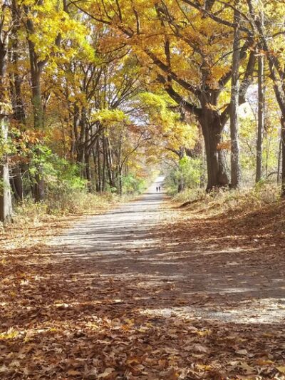 Oatka Creek Park - Scottsville, NY