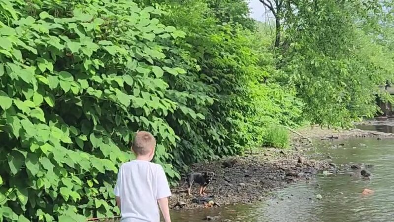 Parker Street Landing - Scranton, PA