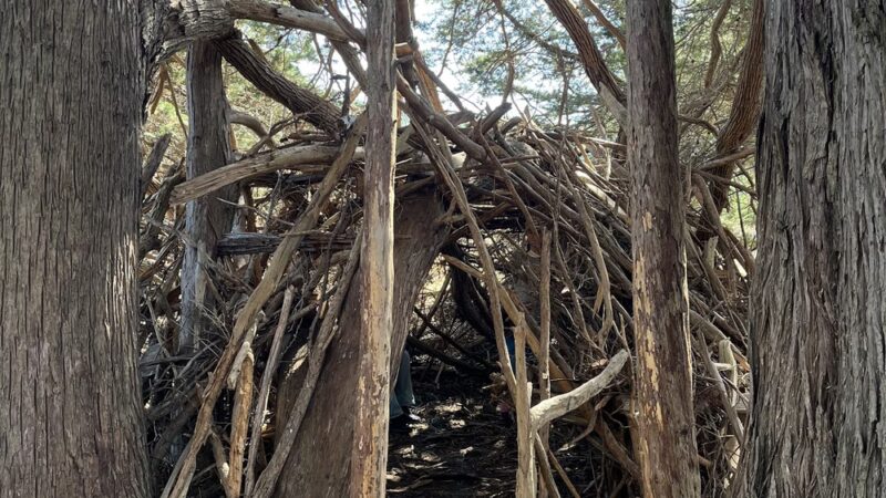 Sea Ranch Park - Sea Ranch, CA