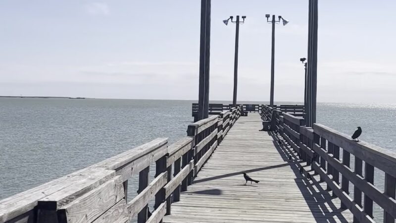 Beach Front Pavilion & Park - Seadrift, TX
