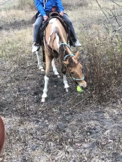Broken Bow Ranch - Seagoville, TX