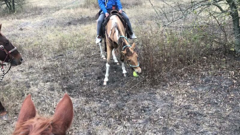 Broken Bow Ranch - Seagoville, TX