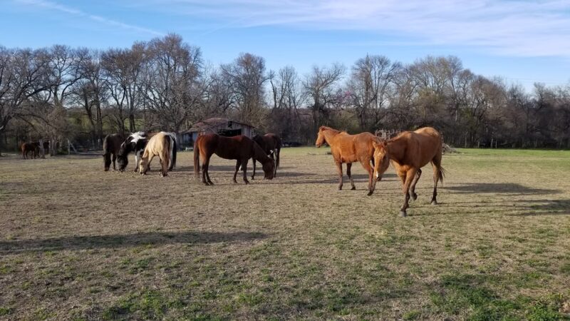 Broken Bow Ranch - Seagoville, TX