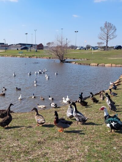 Bruce Central Park - Seagoville, TX