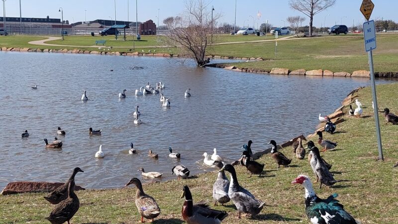 Bruce Central Park - Seagoville, TX