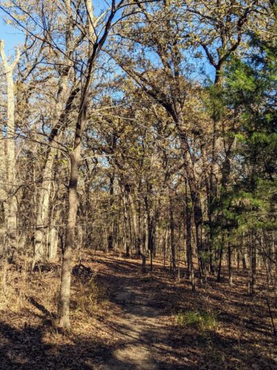 Post Oak - Dallas County Nature Preserve - Seagoville, TX