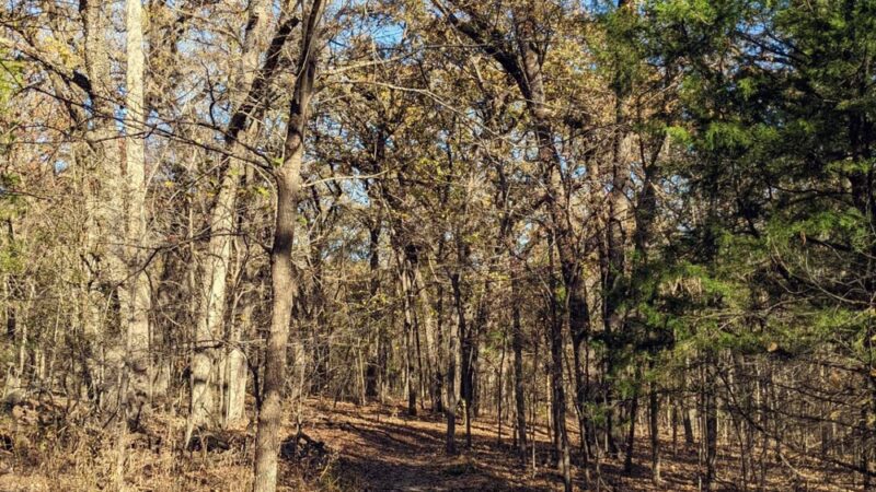 Post Oak - Dallas County Nature Preserve - Seagoville, TX