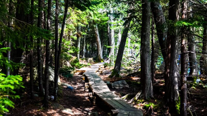 Jordan Pond Path Trailhead - Seal Harbor, ME