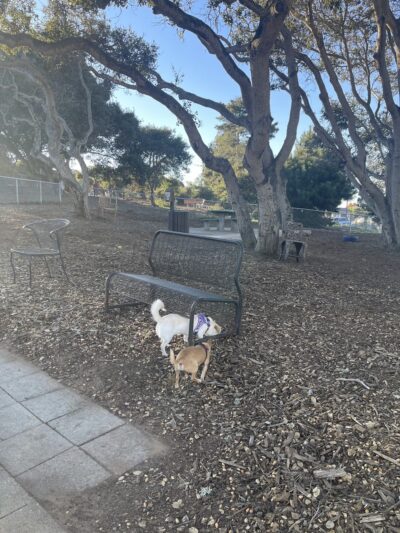 Pacchetti Dog Park - Seaside, CA