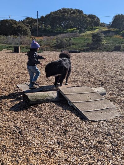 Ft Ord Dog Park - Seaside, CA