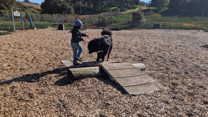 Ft Ord Dog Park - Seaside, CA