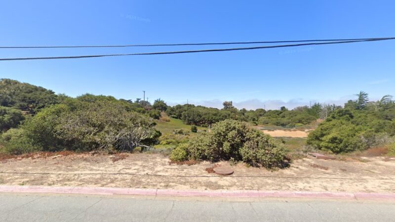 Ft Ord Dog Park - Seaside, CA