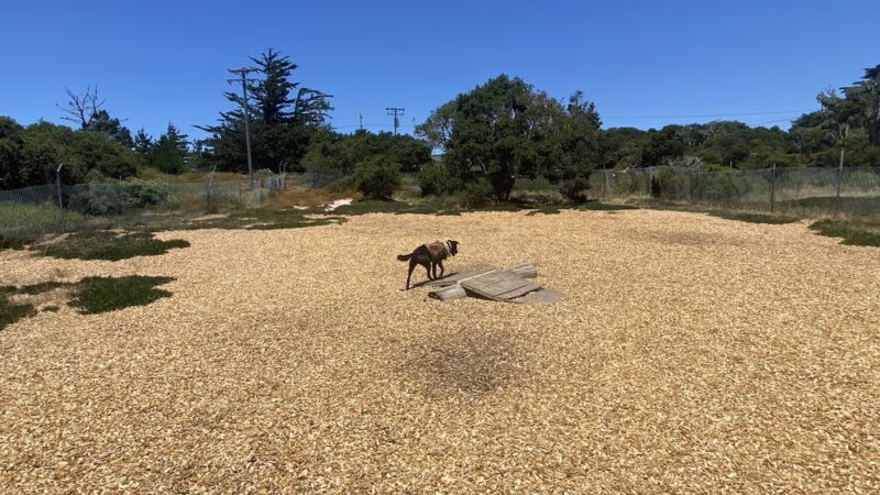 Marshall Park Dog Park - Seaside, CA