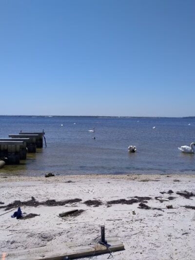 Seaside Park Marina (J Street Marina) - Seaside Park, NJ