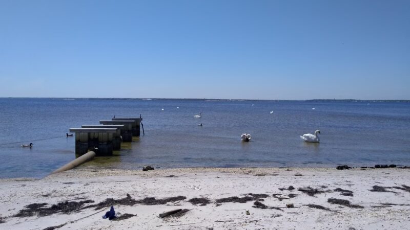 Seaside Park Marina (J Street Marina) - Seaside Park, NJ