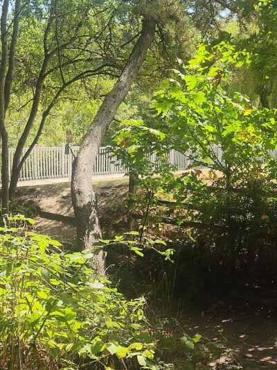 Angle Lake Park Nature Trail - SeaTac, WA