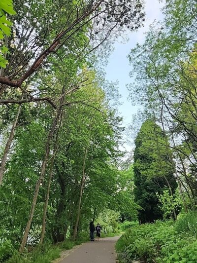 Angle Lake Park Nature Trail - SeaTac, WA