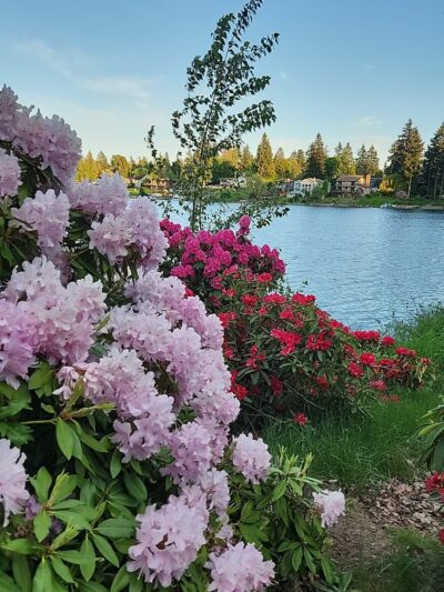 Angle Lake Park Nature Trail - SeaTac, WA
