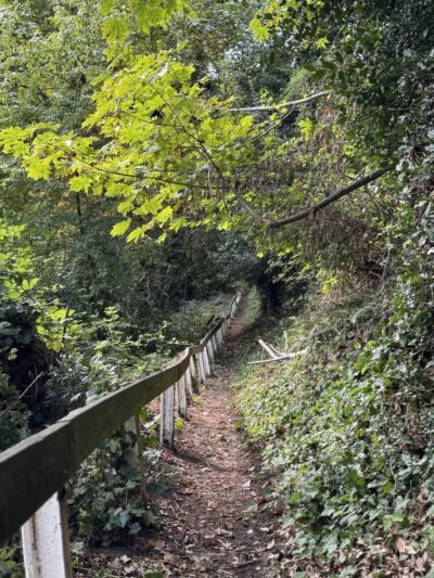 Crockett to Dexter Trail - Seattle, WA