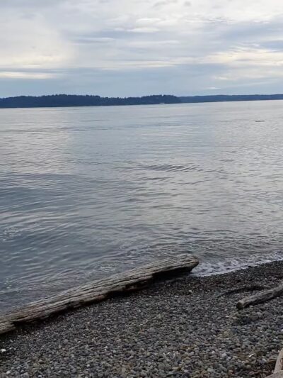 Picnic Shelter #3 - Seattle, WA