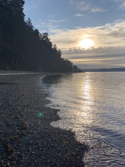 Picnic Shelter #3 - Seattle, WA