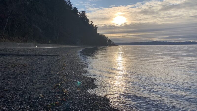 Picnic Shelter #3 - Seattle, WA
