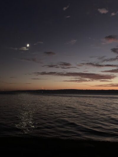 Picnic Shelter #3 - Seattle, WA