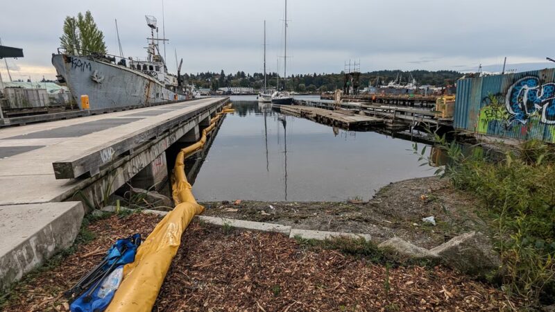 24th Ave Public Dock - Seattle, WA