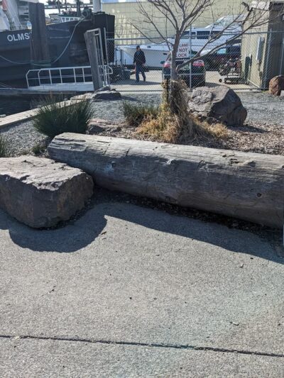 28th Ave. NW Street End Park - Seattle, WA