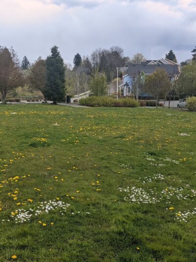 Adams Park - Seattle, WA