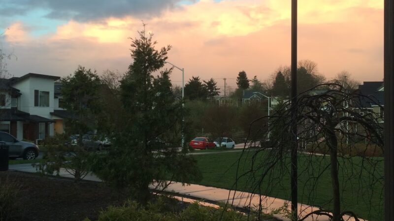 Adams Park - Seattle, WA