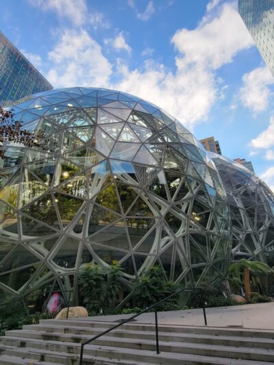 Amazon - Day 1 Dog Park - Seattle, WA