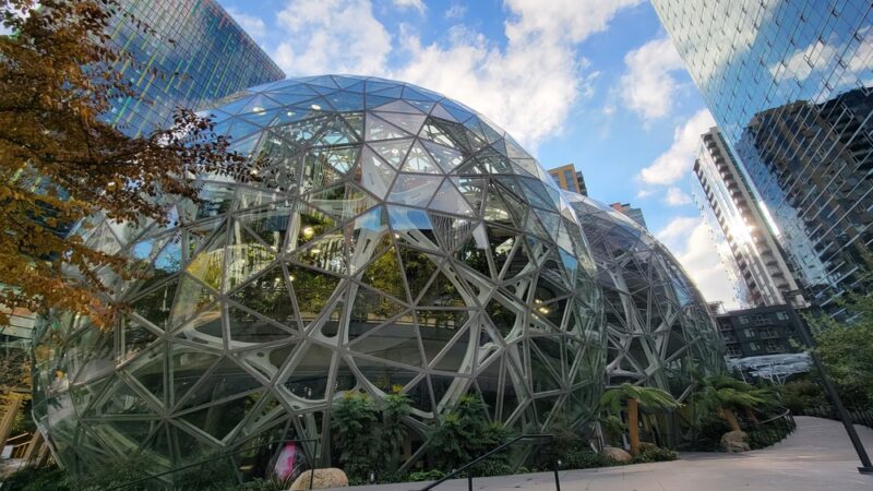 Amazon - Day 1 Dog Park - Seattle, WA