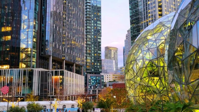 Amazon - Day 1 Dog Park - Seattle, WA