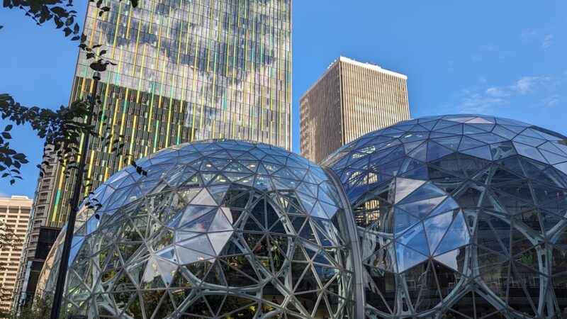 Amazon - Nitro Dog Park - Seattle, WA