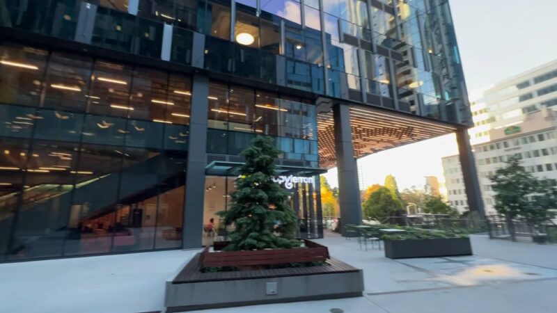 Amazon - Nitro Dog Park - Seattle, WA