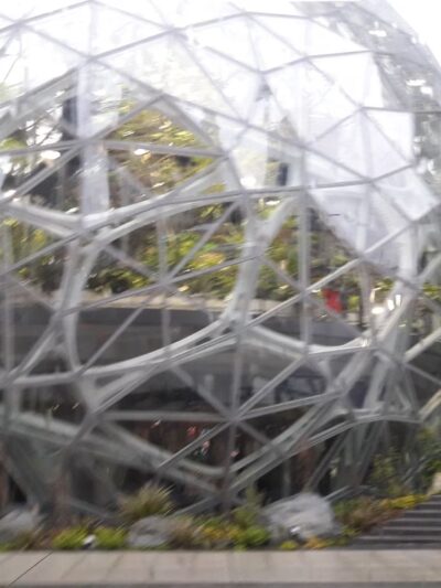 Amazon - Nitro Dog Park - Seattle, WA