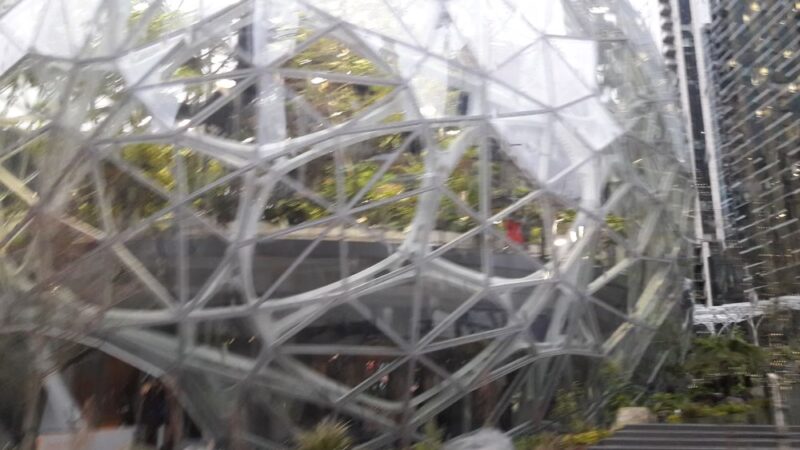 Amazon - Nitro Dog Park - Seattle, WA