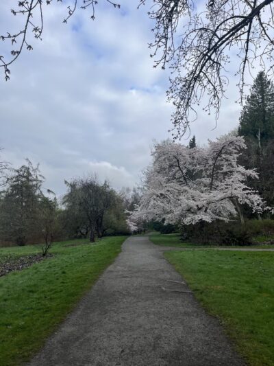 Arboretum Loop Trail - Seattle, WA
