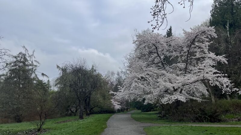Arboretum Loop Trail - Seattle, WA