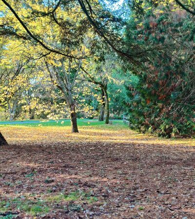 Arboretum Loop Trail - Seattle, WA