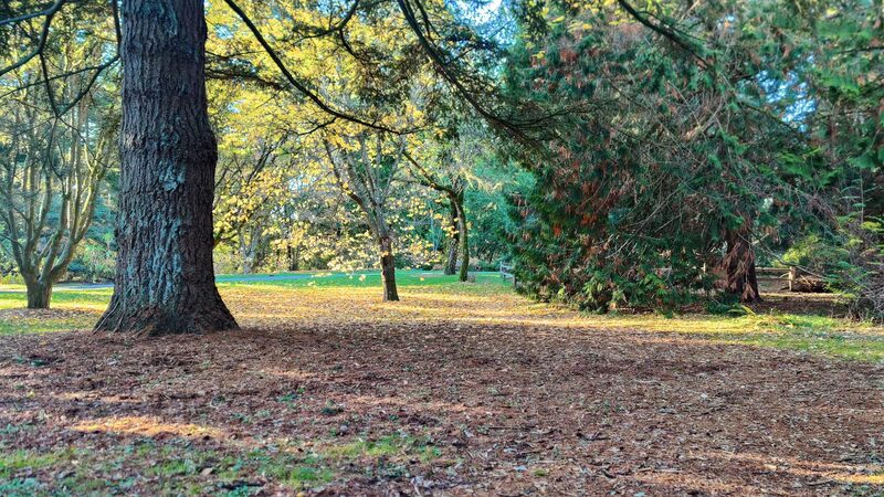 Arboretum Loop Trail - Seattle, WA