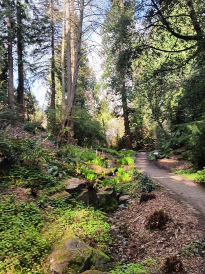 Azalea Way - Seattle, WA