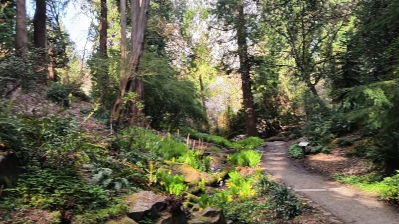 Azalea Way - Seattle, WA