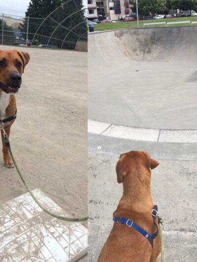Ballard Playground - Seattle, WA